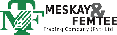 Meskay & Femtee logo